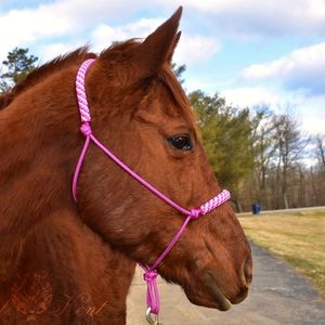 Horse Halter